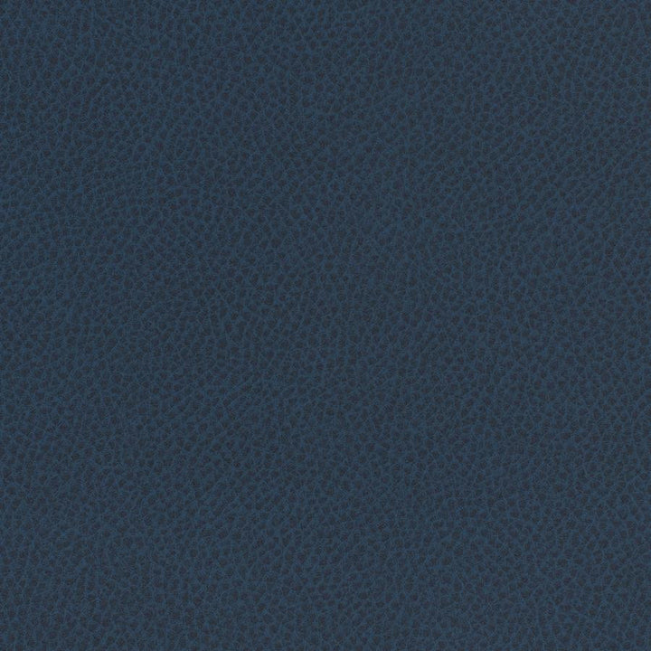 Scene # 761 Admiral by Maxwell Fabric Easy Rider Vii FACE: 95% POLYURETHANE/ 5% SILICONE
BACKING:100% POLYESTER TAIWAN 54" - Fabric Carolina -