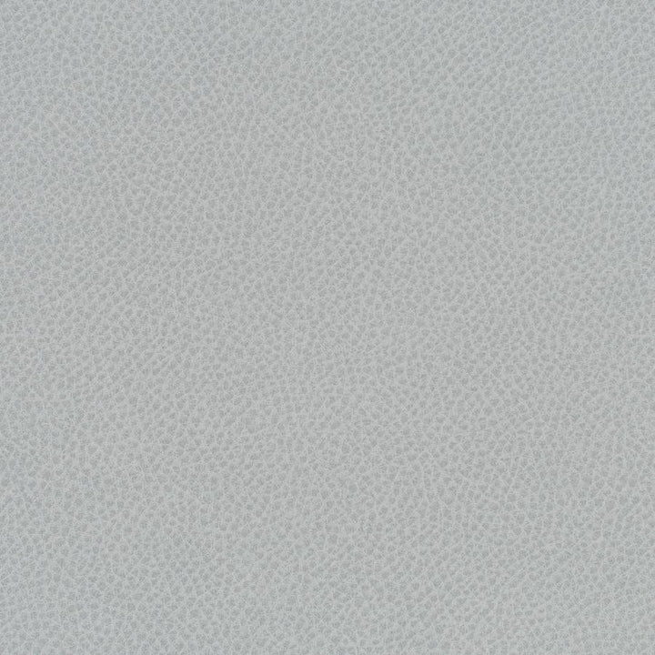 Scene # 785 Nebulous by Maxwell Fabric Easy Rider Vii FACE: 95% POLYURETHANE/ 5% SILICONE
BACKING:100% POLYESTER TAIWAN 54" - Fabric Carolina -