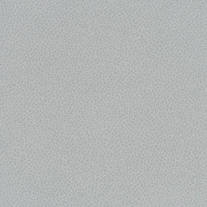 Scene # 785 Nebulous by Maxwell Fabric
