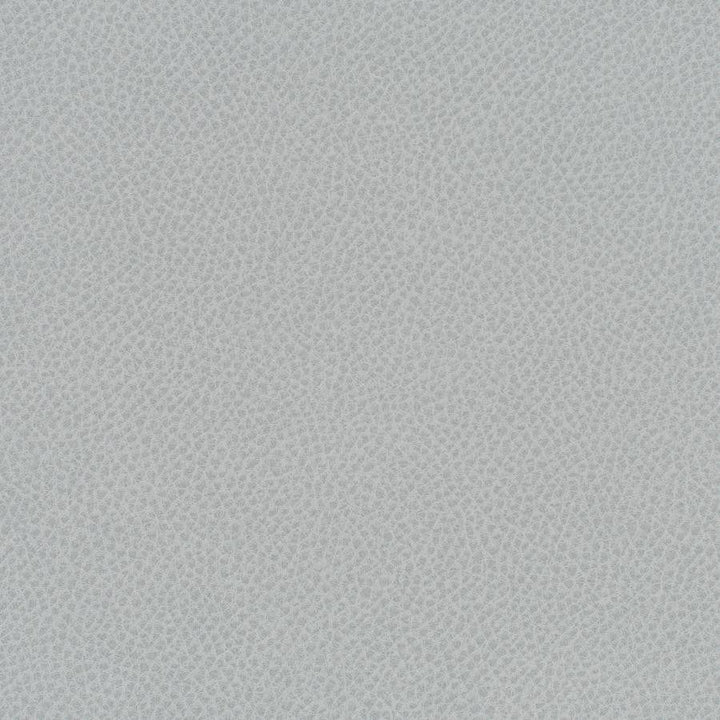 Scene # 785 Nebulous by Maxwell Designer Fabric Easy Rider Vii FACE: 95% POLYURETHANE/ 5% SILICONE
BACKING:100% POLYESTER TAIWAN 54" - Swanky Fabrics -