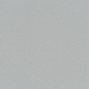 Scene # 785 Nebulous by Maxwell Fabric