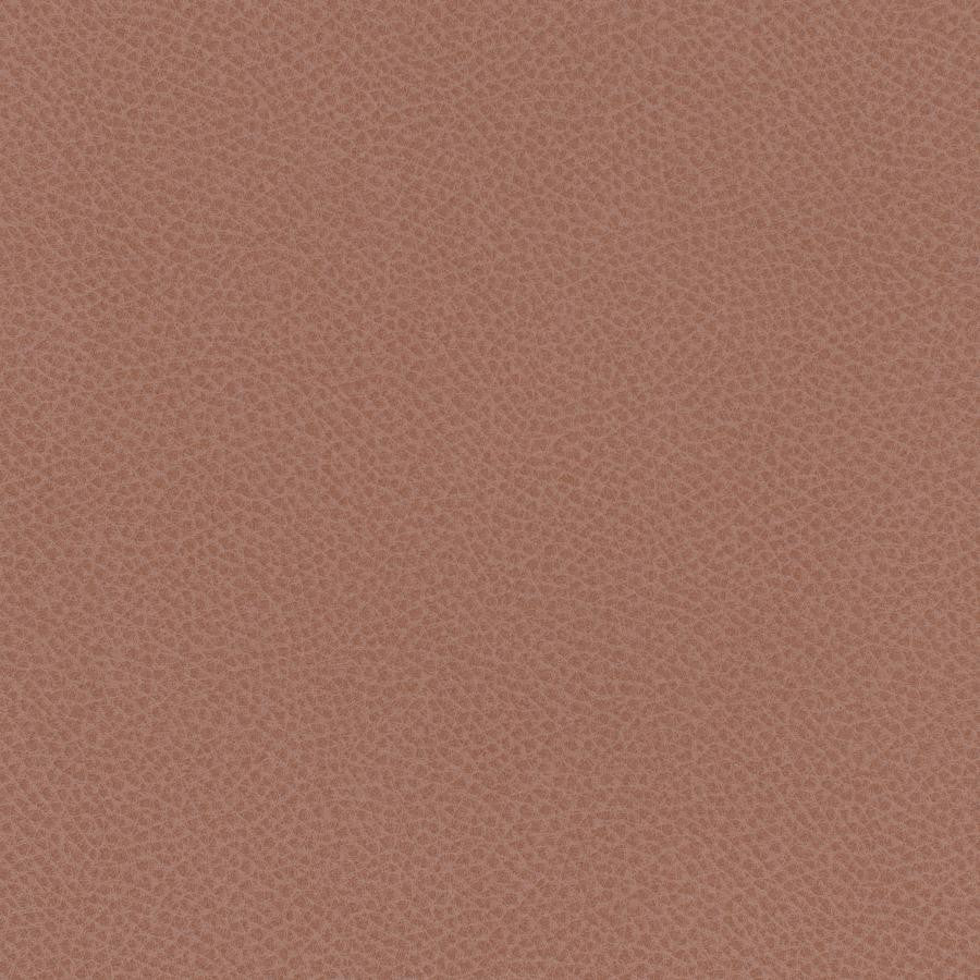 Scene # 795 Peony by Maxwell Fabric EASY RIDER VII FACE: 95% POLYURETHANE/ 5% SILICONE
BACKING:100% POLYESTER TAIWAN 54" - Fabric Carolina -