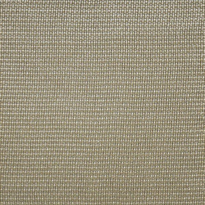 Sidecar # 410 Pyrite by Maxwell Fabric
