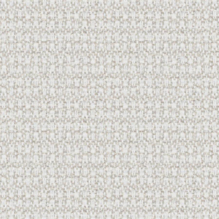 Salamanca # 329 Dust by Maxwell Designer Fabric Colorguard-Pashmina 55% POLYPROPYLENE/47% POLYESTER TURKEY 55" - Swanky Fabrics -