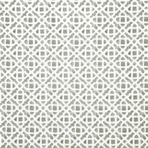 Sand Path # 543 Frost by Maxwell Fabric