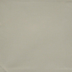 Standish # 665 Gesso by Maxwell Fabric