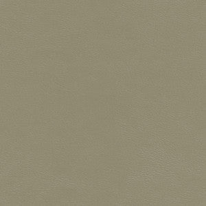 Shaw-Nj # 785 Metal by Maxwell Fabric
