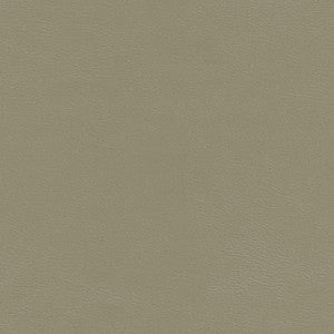 Shaw-Nj # 785 Metal by Maxwell Fabric