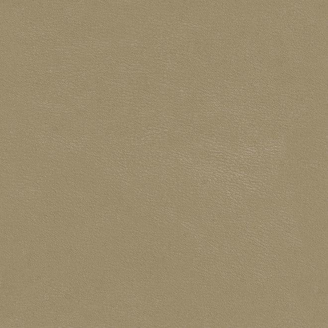 Shaw-Nj # 786 Ground by Maxwell Designer Fabric Memos Only-Coated Fabrics FACE: 100% POLYURETHANE
BACKING: 65% POLYESTER
35% COTTON KOREA 54" - Swanky Fabrics -