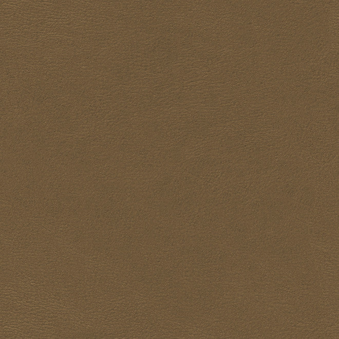 Shaw-Nj # 788 Earth by Maxwell Designer Fabric Memos Only-Coated Fabrics FACE: 100% POLYURETHANE
BACKING: 65% POLYESTER
35% COTTON KOREA 54" - Swanky Fabrics -