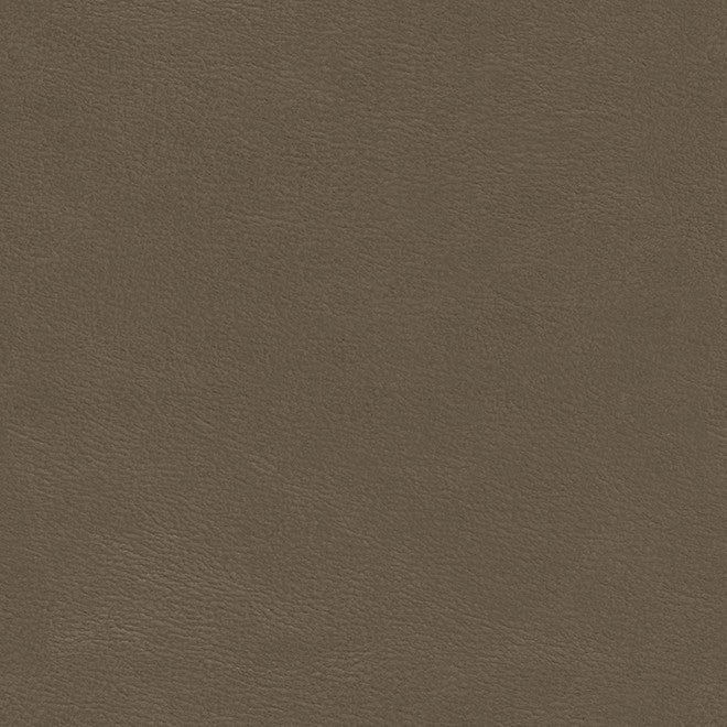 Shaw-Nj # 794 Flagstone by Maxwell Designer Fabric Memos Only-Coated Fabrics FACE: 100% POLYURETHANE
BACKING: 65% POLYESTER
35% COTTON KOREA 54" - Swanky Fabrics -