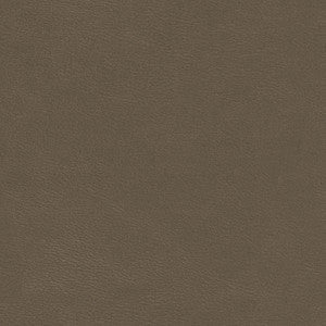 Shaw-Nj # 794 Flagstone by Maxwell Fabric