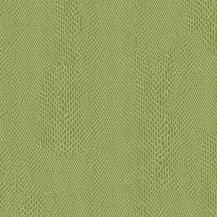 Snakeskin 202 Celery by ABBEYSHEA Fabric N/A 100% Polyester China 12,000 Double Rubs </p><p>Repeat: Horizontal: 13.5" (34.2 cm) Across the Roll and Vertical: 13.5" (34.2 cm) Up the Roll 54" (137 cm) - Fabric Carolina -