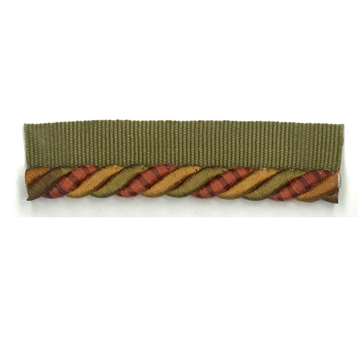 Snaps 39 Autumn by Stout Designer Trim ART OF DESIGN TRIM-2 CORDS 60%COT 40%SVI CHINA Horizontal: 0 and Vertical: 0 0.38 in - Swanky Fabrics -