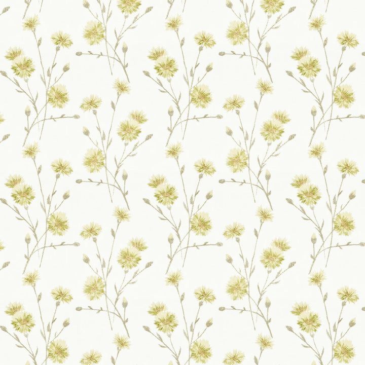 Snazzy 1 Taupe by Stout Fabric Stout Fabric Snazzy 1 TaupeFabric RAINBOW LIBRARY TOAST/DRIFTWOOD INDIA </p><p>Repeat: H: 10.375, V: 9.250 51.87 in - Fabric Carolina -
