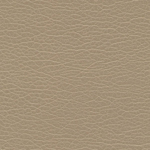Spire-Nj # 1196 Edo by Maxwell Fabric
