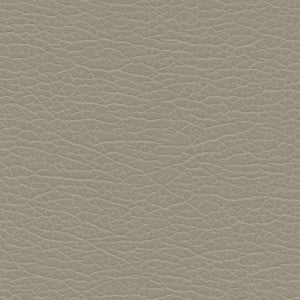 Spire-Nj # 1198 Paved by Maxwell Fabric