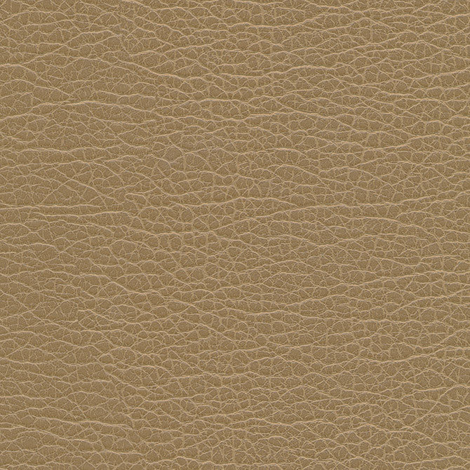 Spire-Nj # 1199 Birch by Maxwell Fabric Memos Only-Coated Fabrics FACE: 100% PVC
BACKING: 100% POLYESTER VIETNAM 54" - Fabric Carolina -