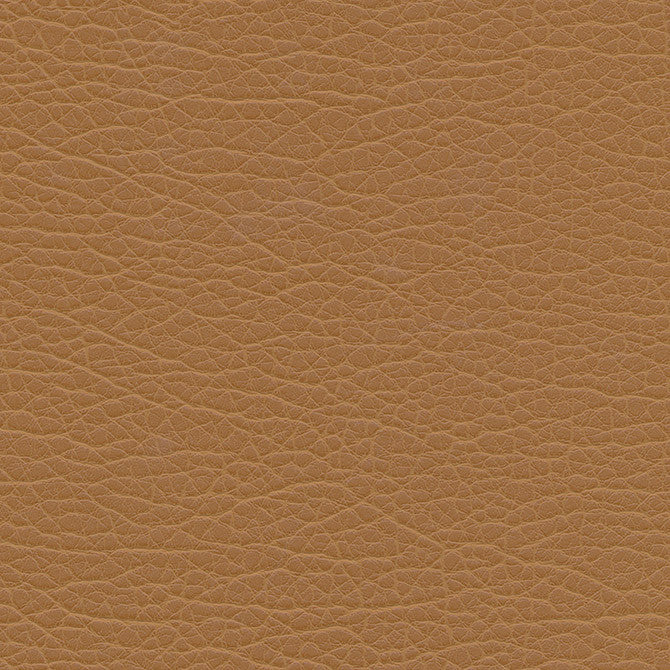 Spire-Nj # 1201 Farm by Maxwell Fabric Memos Only-Coated Fabrics FACE: 100% PVC
BACKING: 100% POLYESTER VIETNAM 54" - Fabric Carolina -