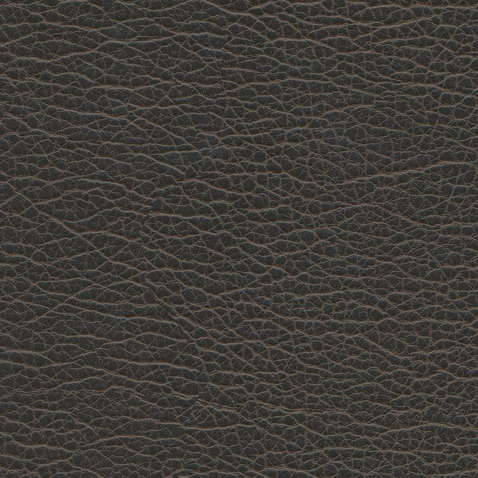 Spire-Nj # 1202 Graphite by Maxwell Fabric Memos Only-Coated Fabrics FACE: 100% PVC
BACKING: 100% POLYESTER VIETNAM 54" - Fabric Carolina -