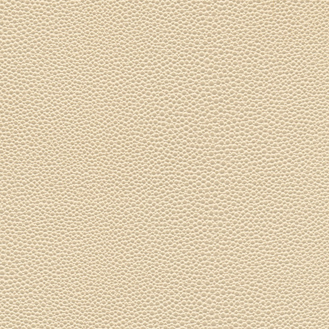 Stingray-Nj # 1067 Seashell by Maxwell Fabric Memos Only-Coated Fabrics FACE: 100% PVC
BACKING: 65% POLYESTER
35% COTTON KOREA 54" - Fabric Carolina -