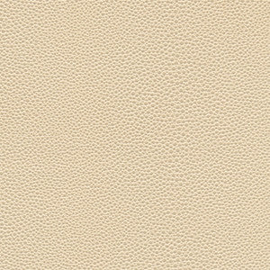 Stingray-Nj # 1067 Seashell by Maxwell Fabric