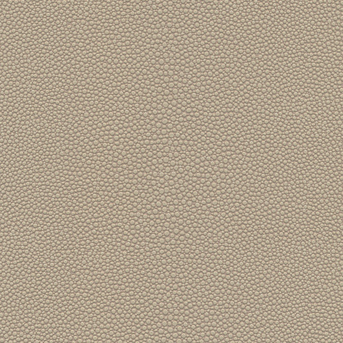 Stingray-Nj # 1071 Pudding by Maxwell Fabric Memos Only-Coated Fabrics FACE: 100% PVC
BACKING: 65% POLYESTER
35% COTTON KOREA 54" - Fabric Carolina -