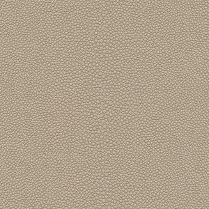 Stingray-Nj # 1071 Pudding by Maxwell Fabric