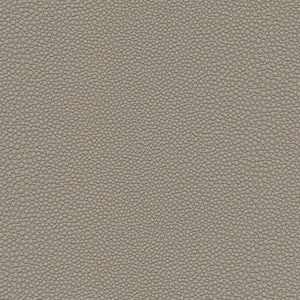Stingray-Nj # 1074 Chalice by Maxwell Fabric