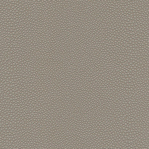Stingray-Nj # 1074 Chalice by Maxwell Fabric