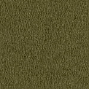 Surabaya-Nj # 657 Parsley by Maxwell Fabric