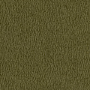 Surabaya-Nj # 657 Parsley by Maxwell Fabric