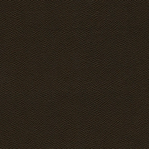 Surabaya-Nj # 667 Sloth by Maxwell Fabric