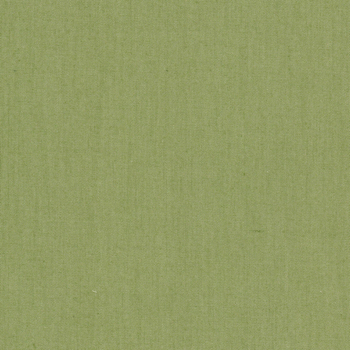 Snuggle 2 Clover by Aoc Fabric Aoc Fabric Snuggle 2 CloverFabric COMFORTABLE LIVING SAGE/MOSS 100%POL INDIA </p><p>Repeat: H: 0.000, V: 0.000 54 in - Fabric Carolina -