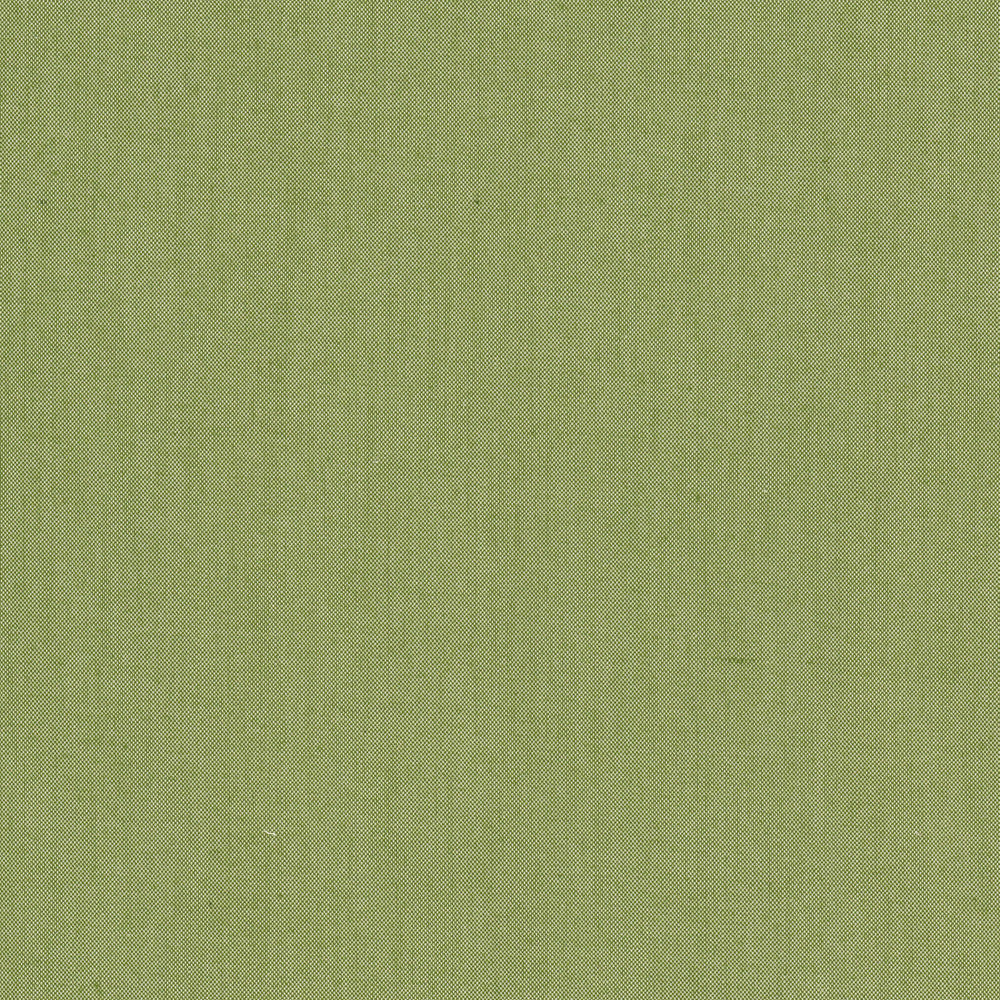 Snuggle 2 Clover by Aoc Fabric Aoc Fabric Snuggle 2 CloverFabric Comfortable Living Sage/Moss 100%Pol India </p><p>Repeat: H: 0, V: 0 54 in - Fabric Carolina -