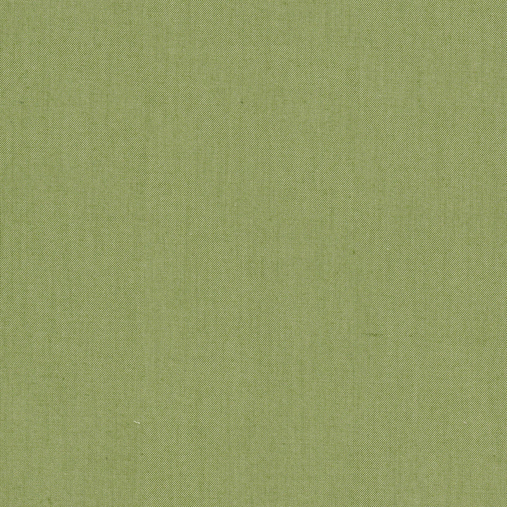 Snuggle 2 Clover by Aoc Fabric Aoc Fabric Snuggle 2 CloverFabric Comfortable Living Sage/Moss 100%Pol India </p><p>Repeat: H: 0, V: 0 54 in - Fabric Carolina -