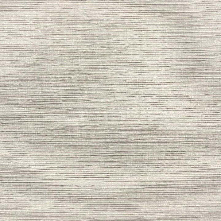 Scorpio # 211 Oyster by Maxwell Designer Fabric Blackout Iii FACE: 100% POLYESTER
BACKING: ACRYLIC CHINA 55" - Swanky Fabrics -