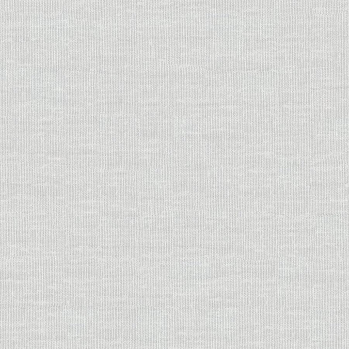 Sandro # 104 Winter by Maxwell Fabric Wide Width Basics Ii 74% RECYCLED POLYESTER
26% LINEN INDIA 121" - Fabric Carolina -