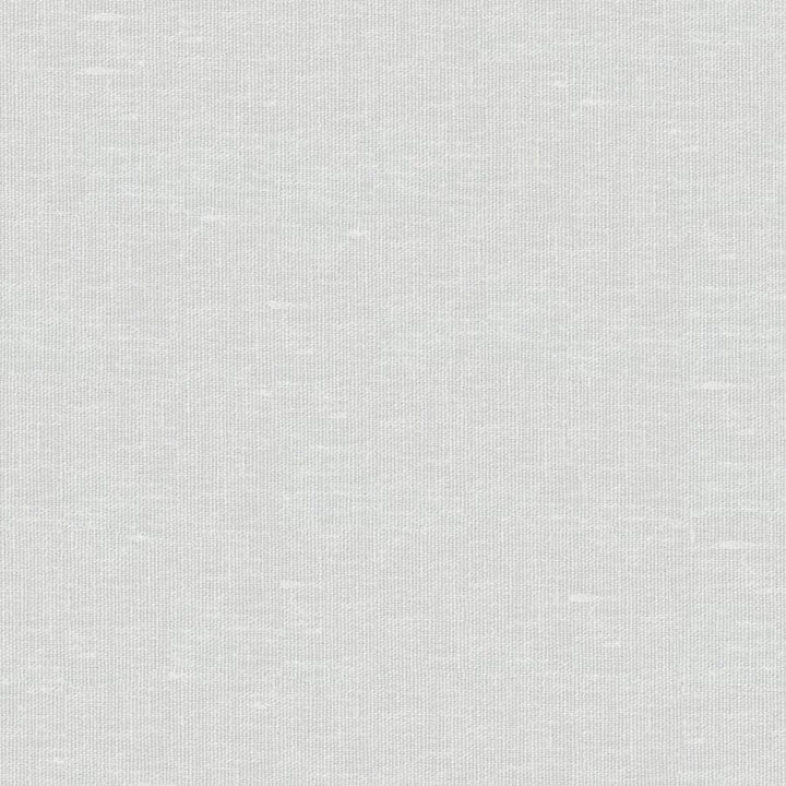 Sandro # 105 Eggshell by Maxwell Fabric Wide Width Basics Ii 74% RECYCLED POLYESTER
26% LINEN INDIA 121" - Fabric Carolina -