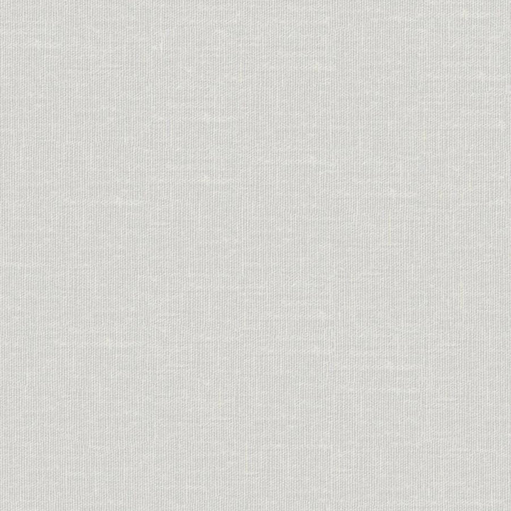 Sandro # 107 Angora by Maxwell Fabric Wide Width Basics Ii 74% RECYCLED POLYESTER
26% LINEN INDIA 121" - Fabric Carolina -