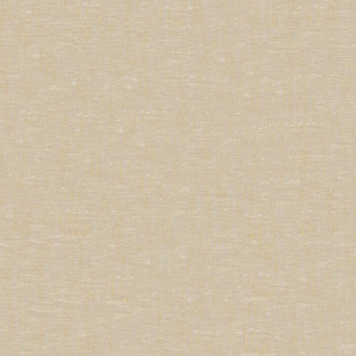 Sandro # 111 Melon by Maxwell Fabric Wide Width Basics Ii 74% RECYCLED POLYESTER
26% LINEN INDIA 121" - Fabric Carolina -