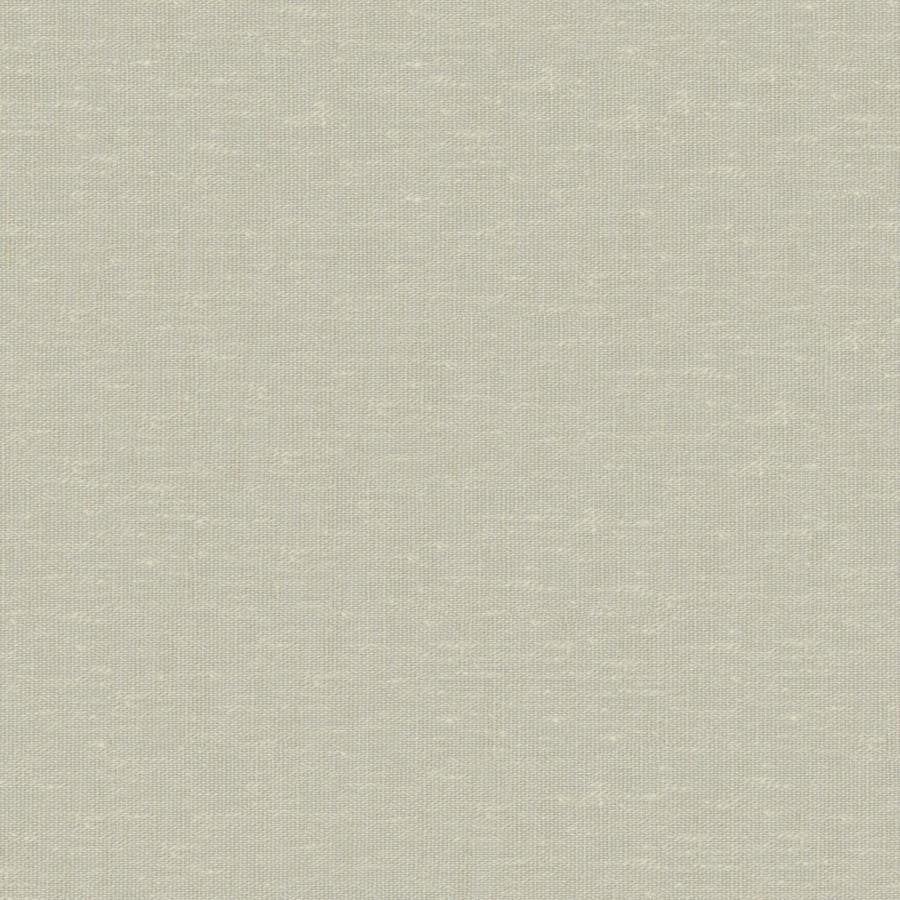 Sandro # 113 Pear by Maxwell Fabric Wide Width Basics Ii 74% RECYCLED POLYESTER
26% LINEN INDIA 121" - Fabric Carolina -