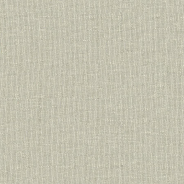 Sandro # 113 Pear by Maxwell Fabric Wide Width Basics Ii 74% RECYCLED POLYESTER
26% LINEN INDIA 121" - Fabric Carolina -