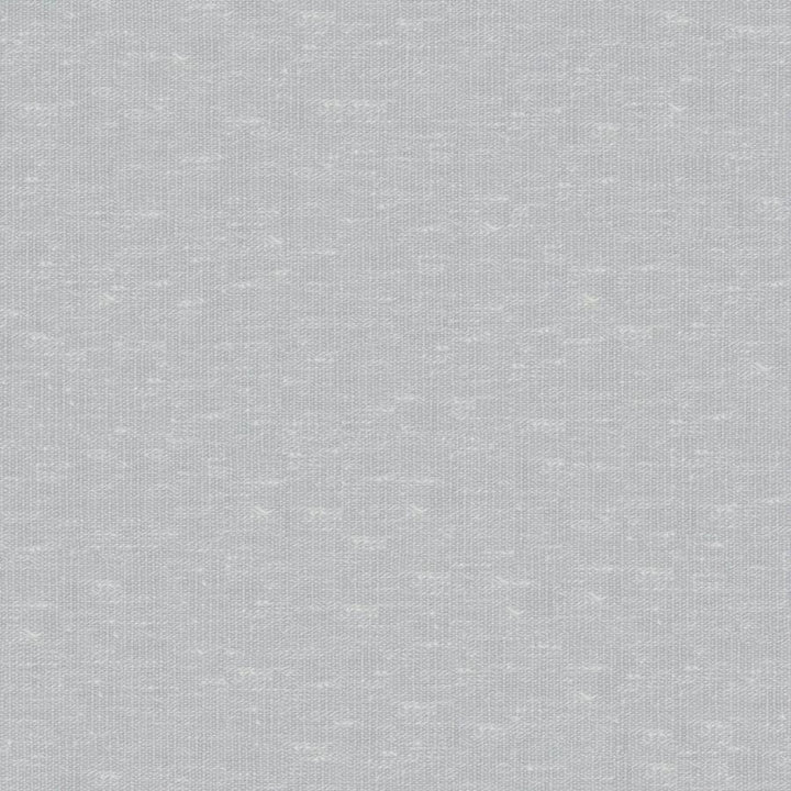Sandro # 116 Sky by Maxwell Fabric Wide Width Basics Ii 74% RECYCLED POLYESTER
26% LINEN INDIA 121" - Fabric Carolina -
