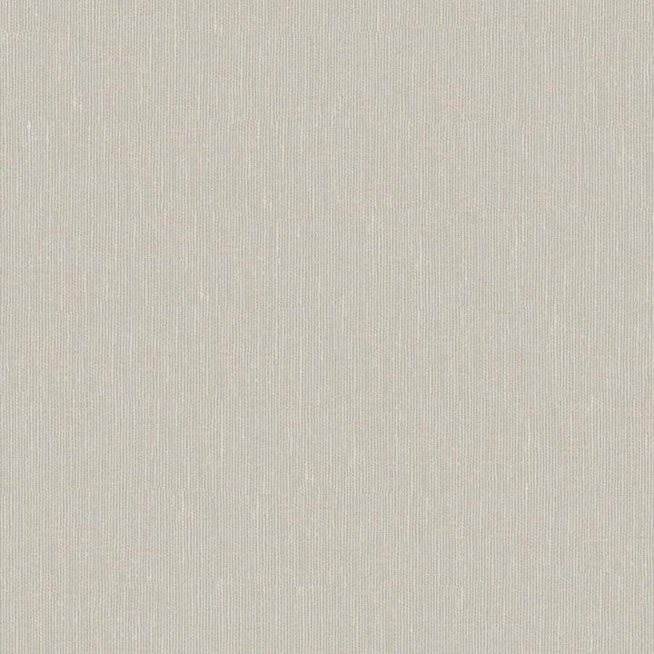 Sandro # 126 Desert by Maxwell Fabric Wide Width Basics Ii 74% RECYCLED POLYESTER
26% LINEN INDIA 121" - Fabric Carolina -