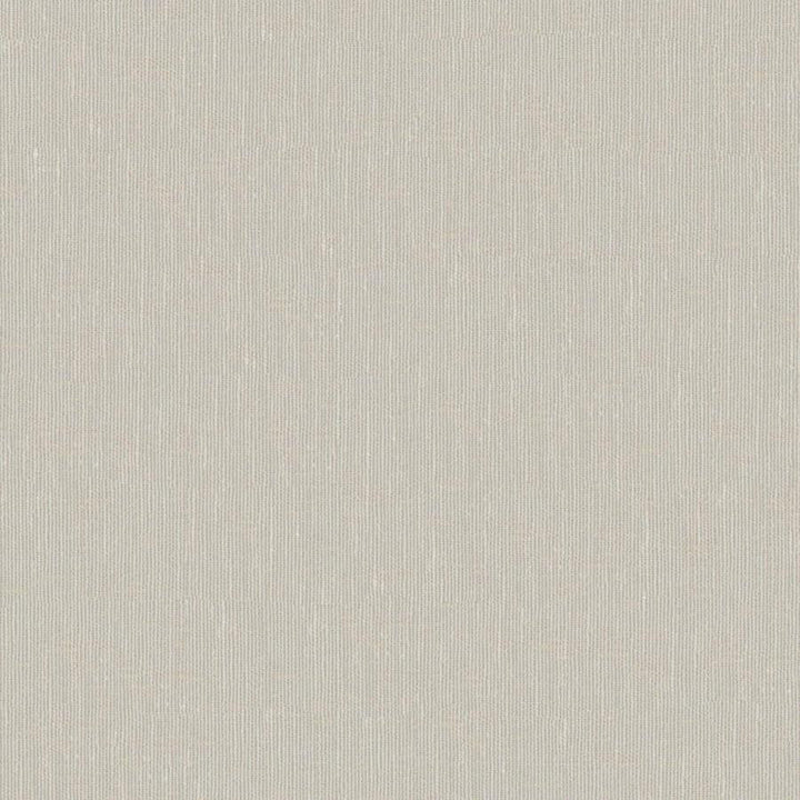 Sandro # 126 Desert by Maxwell Designer Fabric Wide Width Basics Ii 74% RECYCLED POLYESTER
26% LINEN INDIA 121" - Swanky Fabrics -