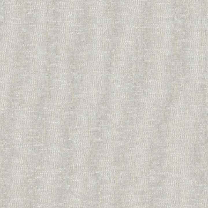 Sandro # 128 Cashew by Maxwell Fabric Wide Width Basics Ii 74% RECYCLED POLYESTER
26% LINEN INDIA 121" - Fabric Carolina -