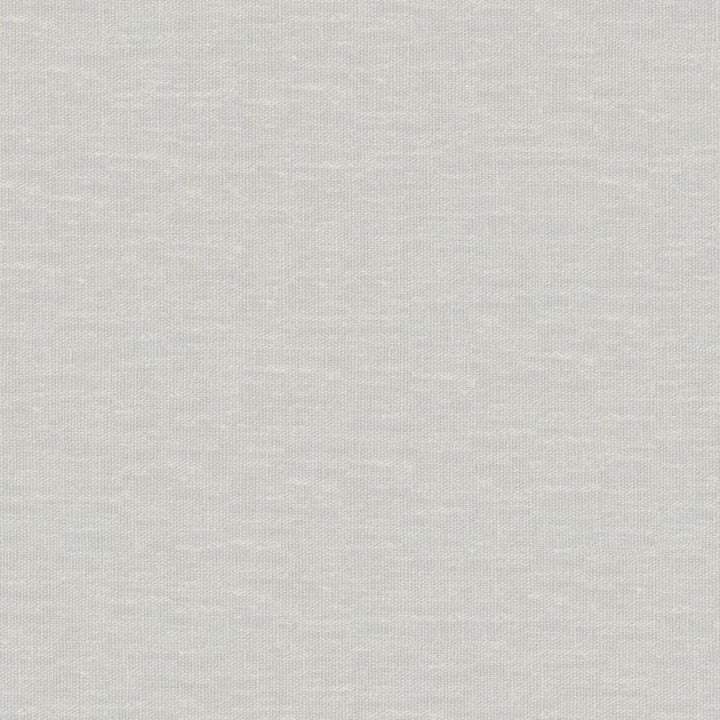 Sandro # 130 Whisper by Maxwell Designer Fabric Wide Width Basics Ii 74% RECYCLED POLYESTER
26% LINEN INDIA 121" - Swanky Fabrics -