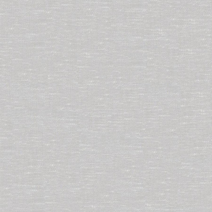Sandro # 132 Pumice by Maxwell Fabric Wide Width Basics Ii 74% RECYCLED POLYESTER
26% LINEN INDIA 121" - Fabric Carolina -