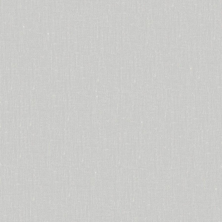 Sandro # 134 Silver by Maxwell Fabric Wide Width Basics Ii 74% RECYCLED POLYESTER
26% LINEN INDIA 121" - Fabric Carolina -